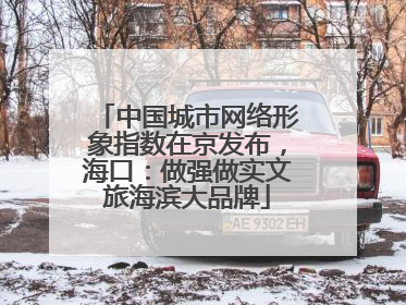 中国城市网络形象指数在京发布，海口：做强做实文旅海滨大品牌