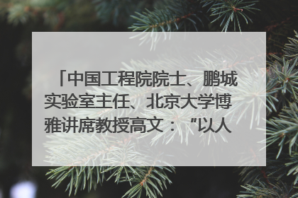 中国工程院院士、鹏城实验室主任、北京大学博雅讲席教授高文：“以人为本 智能向善” 推动文化与科技相生相促｜聚焦2025文化强国建设高峰论坛