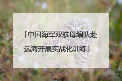 中国海军双航母编队赴远海开展实战化训练