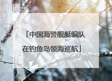 中国海警舰艇编队在钓鱼岛领海巡航