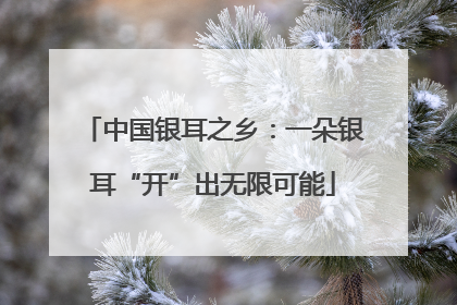 中国银耳之乡：一朵银耳“开”出无限可能