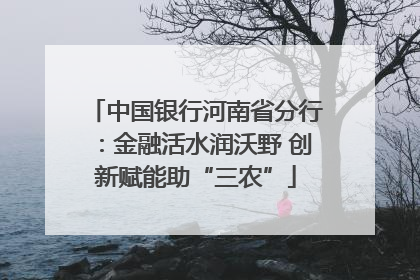 中国银行河南省分行：金融活水润沃野 创新赋能助“三农”