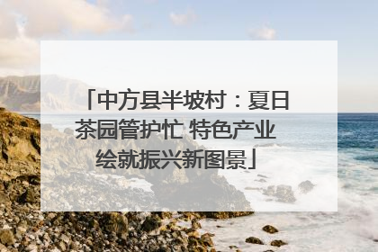 中方县半坡村：夏日茶园管护忙 特色产业绘就振兴新图景