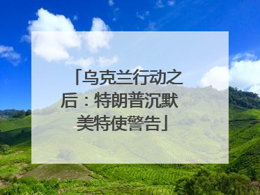 乌克兰行动之后：特朗普沉默 美特使警告