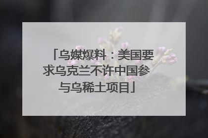 乌媒爆料：美国要求乌克兰不许中国参与乌稀土项目
