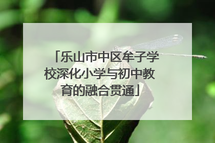乐山市中区牟子学校深化小学与初中教育的融合贯通