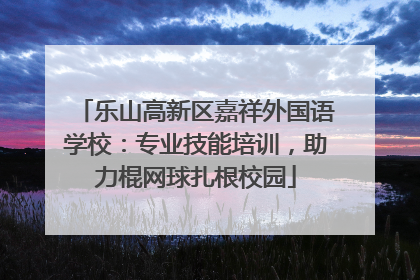 乐山高新区嘉祥外国语学校：专业技能培训，助力棍网球扎根校园