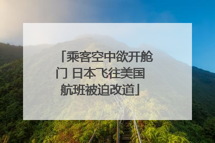 乘客空中欲开舱门 日本飞往美国航班被迫改道