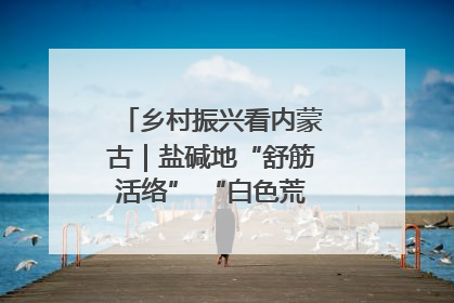 乡村振兴看内蒙古｜盐碱地“舒筋活络” “白色荒漠”长出吨粮田