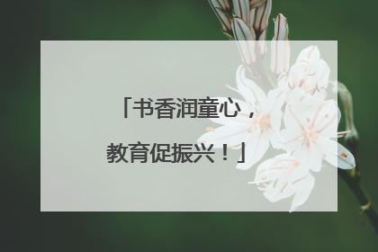 书香润童心，教育促振兴！