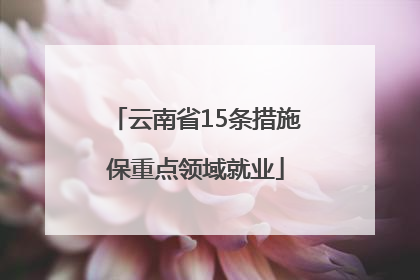 云南省15条措施保重点领域就业