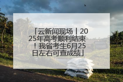 云新闻现场丨2025年高考顺利结束！我省考生6月25日左右可查成绩
