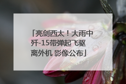 亮剑西太！大雨中歼-15带弹起飞驱离外机 影像公布