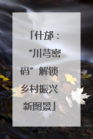 什邡：“川芎密码”解锁乡村振兴新图景