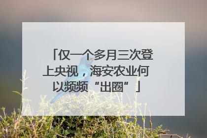 仅一个多月三次登上央视，海安农业何以频频“出圈”