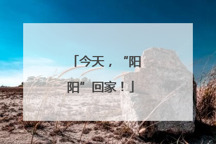 今天，“阳阳”回家！