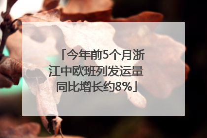 今年前5个月浙江中欧班列发运量同比增长约8%