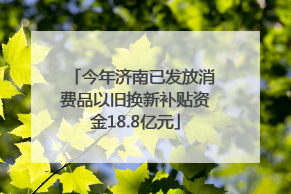 今年济南已发放消费品以旧换新补贴资金18.8亿元
