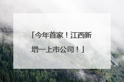 今年首家！江西新增一上市公司！