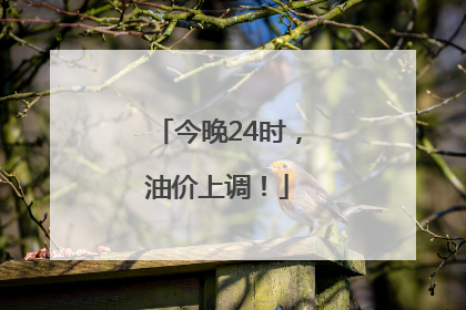 今晚24时，油价上调！