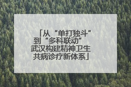 从“单打独斗”到“多科联动” 武汉构建精神卫生共病诊疗新体系