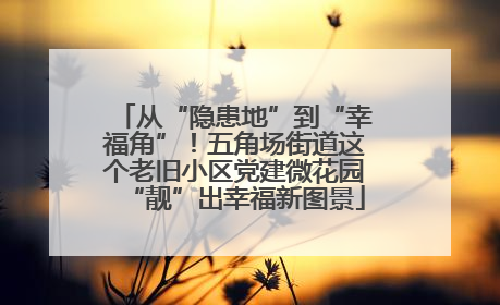 从“隐患地”到“幸福角”！五角场街道这个老旧小区党建微花园“靓”出幸福新图景
