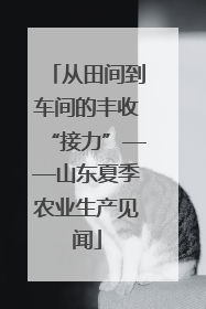 从田间到车间的丰收“接力”——山东夏季农业生产见闻