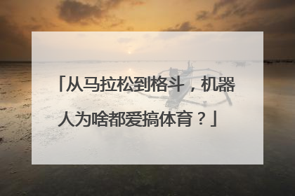 从马拉松到格斗，机器人为啥都爱搞体育？