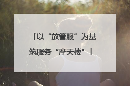 以“放管服”为基筑服务“摩天楼”