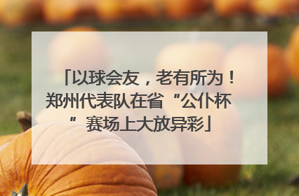 以球会友，老有所为！郑州代表队在省“公仆杯”赛场上大放异彩