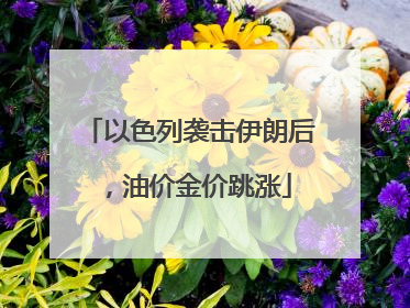 以色列袭击伊朗后，油价金价跳涨