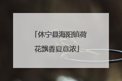 休宁县海阳镇荷花飘香夏意浓