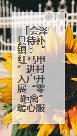 会泽县待补镇：“红马甲”进村入户开展“零距离”暖心服务