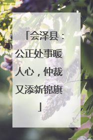 会泽县：公正处事暖人心，仲裁又添新锦旗
