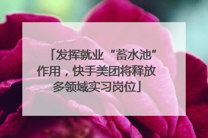 发挥就业“蓄水池”作用，快手美团将释放多领域实习岗位