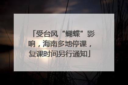 受台风“蝴蝶”影响，海南多地停课，复课时间另行通知