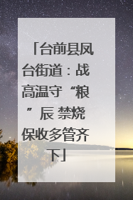 台前县凤台街道：战高温守“粮”辰 禁烧保收多管齐下