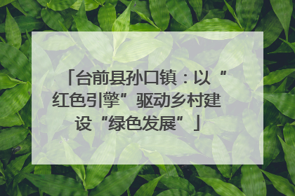 台前县孙口镇：以“红色引擎”驱动乡村建设“绿色发展”