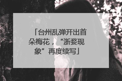 台州乱弹开出首朵梅花，“浙婺现象”再度续写