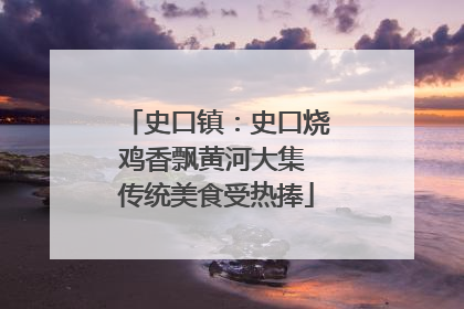 史口镇：史口烧鸡香飘黄河大集 传统美食受热捧