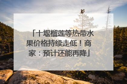 十堰榴莲等热带水果价格持续走低！商家：预计还能再降