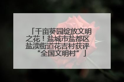 千亩葵园绽放文明之花！盐城市盐都区盐渎街道花吉村获评“全国文明村”
