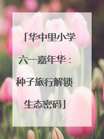 华中里小学六一嘉年华：种子旅行解锁生态密码