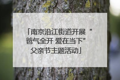 南京沿江街道开展“爸气全开 爱在当下”父亲节主题活动