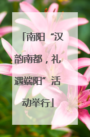 南阳“汉韵南都，礼遇端阳”活动举行