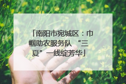 南阳市宛城区：巾帼助农服务队 “三夏”一线绽芳华