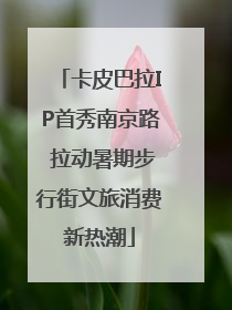 卡皮巴拉IP首秀南京路 拉动暑期步行街文旅消费新热潮