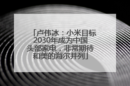 卢伟冰：小米目标2030年成为中国头部家电，非常期待和美的海尔并列