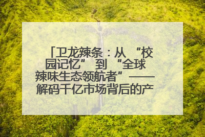 卫龙辣条：从 “校园记忆” 到 “全球辣味生态领航者”——解码千亿市场背后的产品创新与全链路破圈