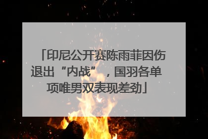 印尼公开赛陈雨菲因伤退出“内战”，国羽各单项唯男双表现差劲